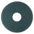 Rental store for FLOOR PAD 17 THICK,GREEN in San Pablo CA
