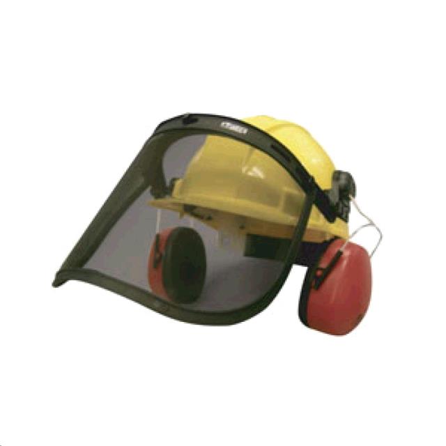 Rental store for EAR MUFF   FACE SHIELD COMBO in San Pablo CA